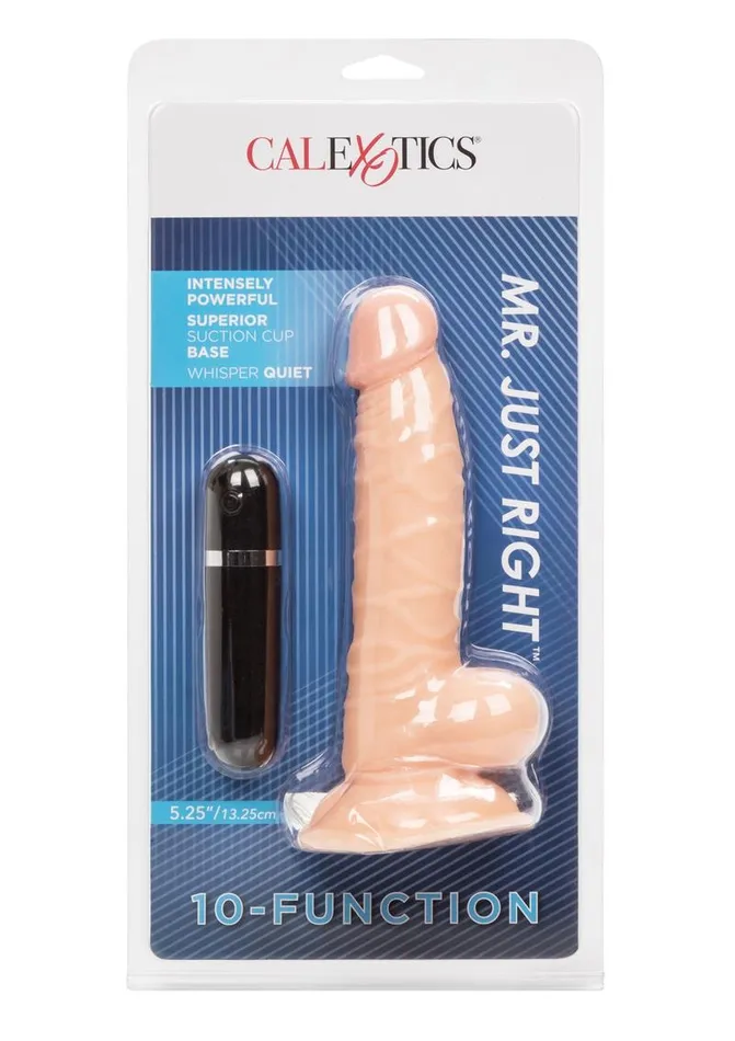 Female Sex Toys Mr Just Right Vibrating Dildo with Bullet Lifelike Dongs