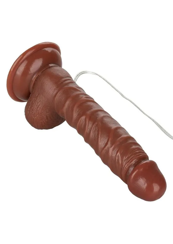 Female Sex Toys Mr Just Right Vibrating Dildo with Bullet Lifelike Dongs