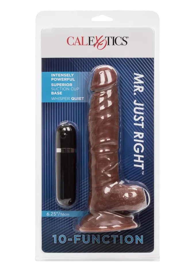 Female Sex Toys Mr Just Right Vibrating Dildo with Bullet Lifelike Dongs