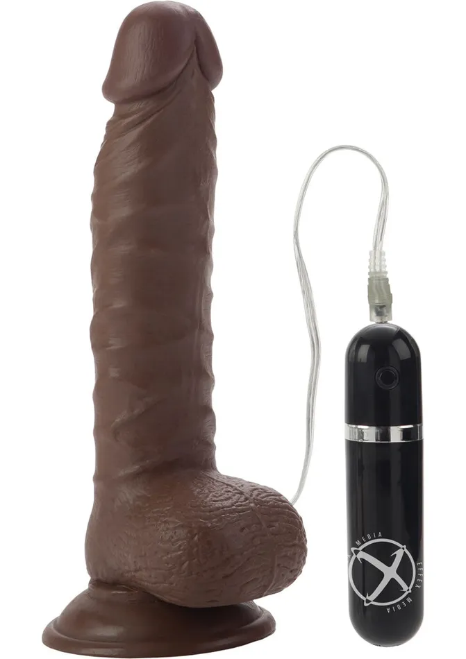 Female Sex Toys Mr Just Right Vibrating Dildo with Bullet Lifelike Dongs