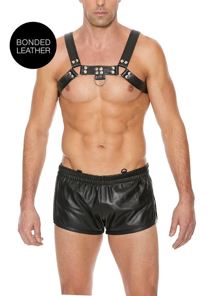 Shots America Chest Bulldog Harness Sm Black Anal